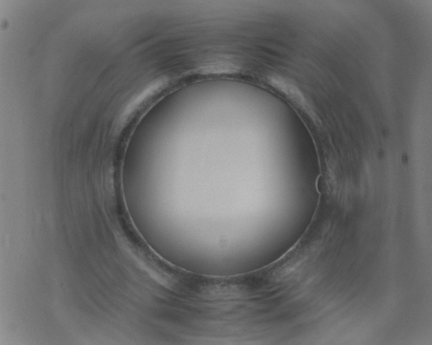 X0000074310535200609081944