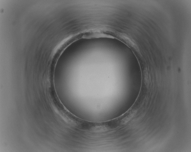 X0000074310536200609081944