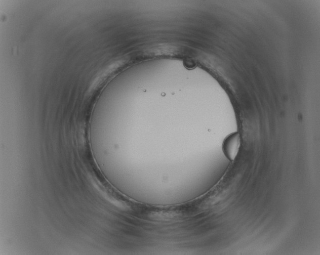 X0000074310537200609081944