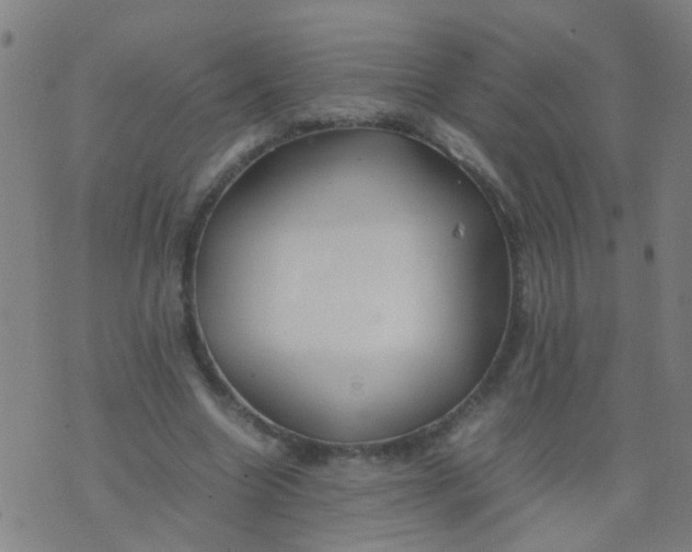 X0000074310538200609081944