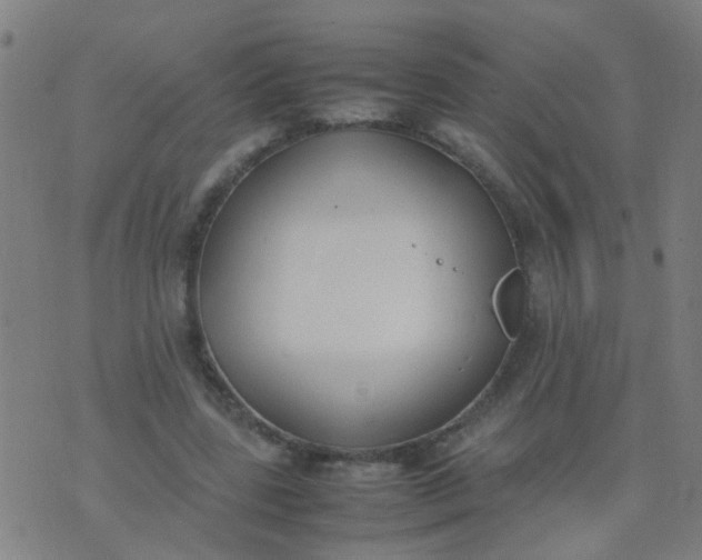 X0000074310539200609081944