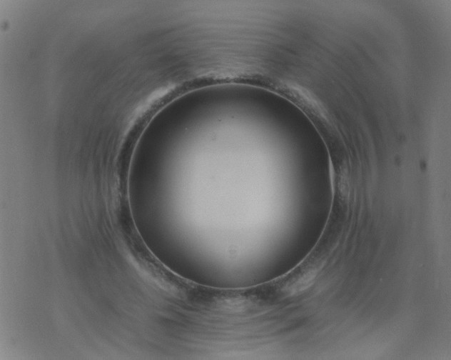 X0000074310540200609081944