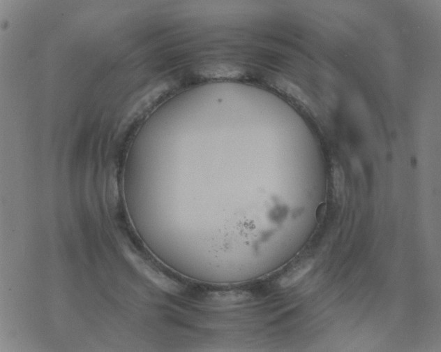 X0000074310541200609081944