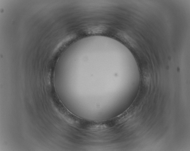 X0000074310543200609081945