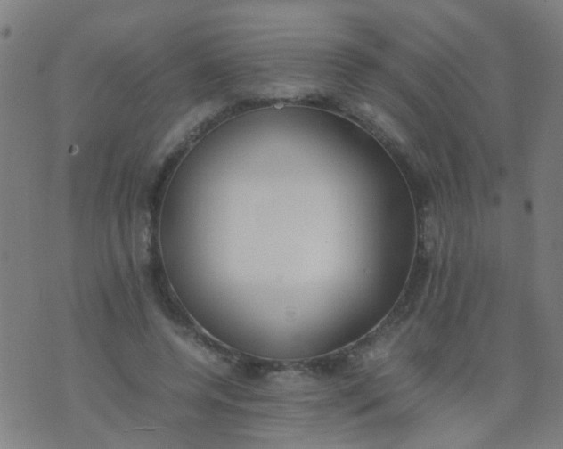 X0000074310544200609081945