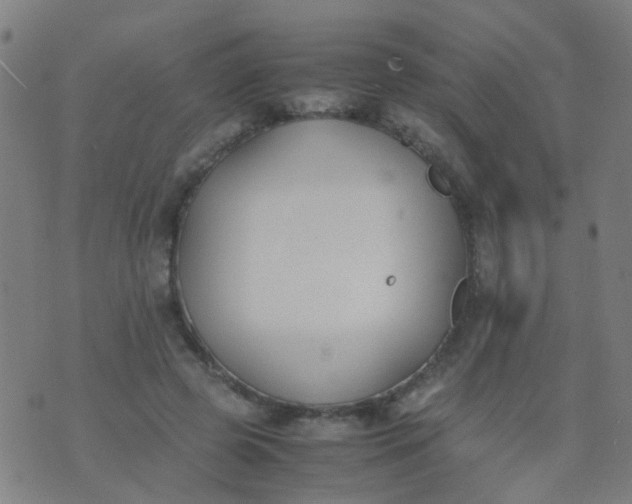 X0000074310545200609081945