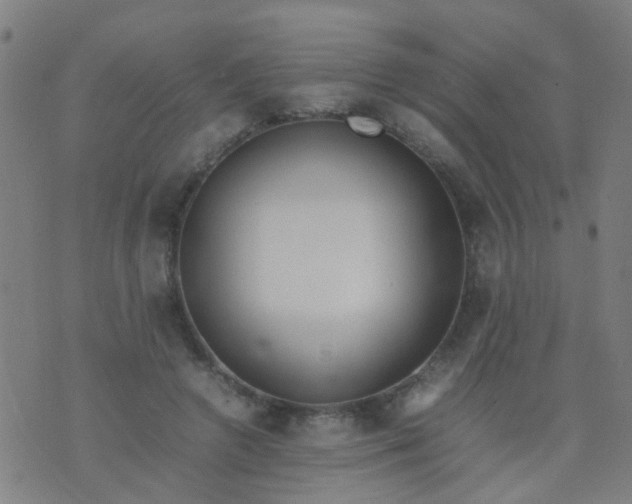 X0000074310546200609081945