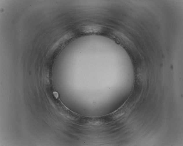 X0000074310547200609081945