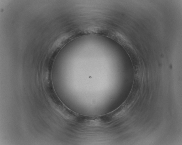 X0000074310548200609081945