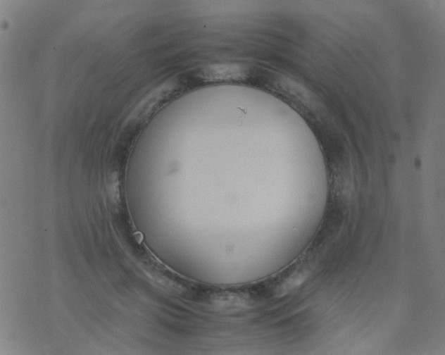 X0000074310549200609081945