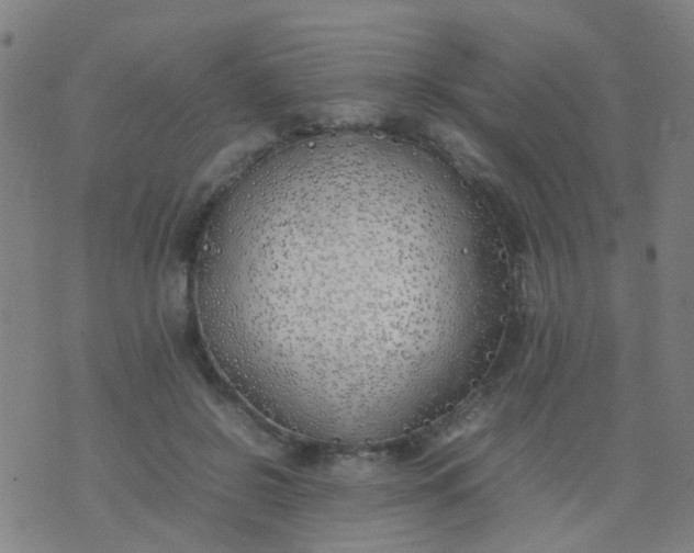 X0000074310550200609081945