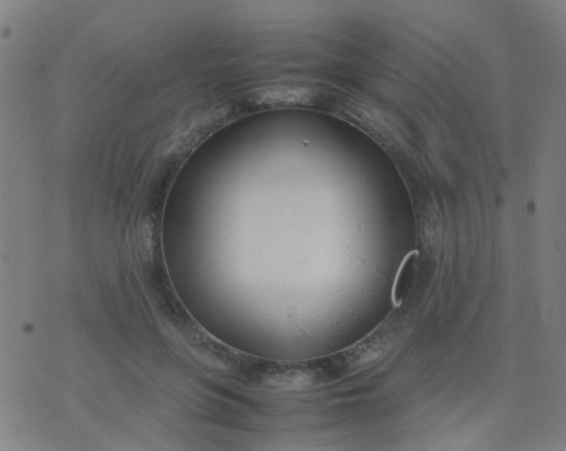 X0000074310551200609081945