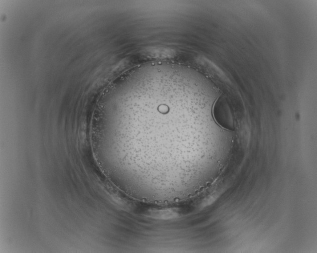 X0000074310553200609081945