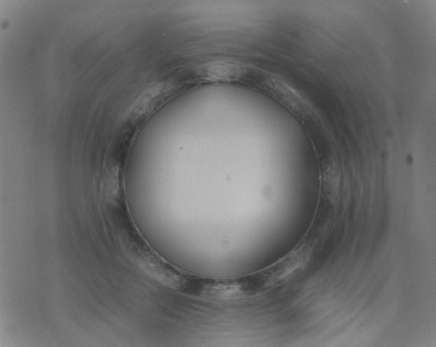 X0000074310554200609081945