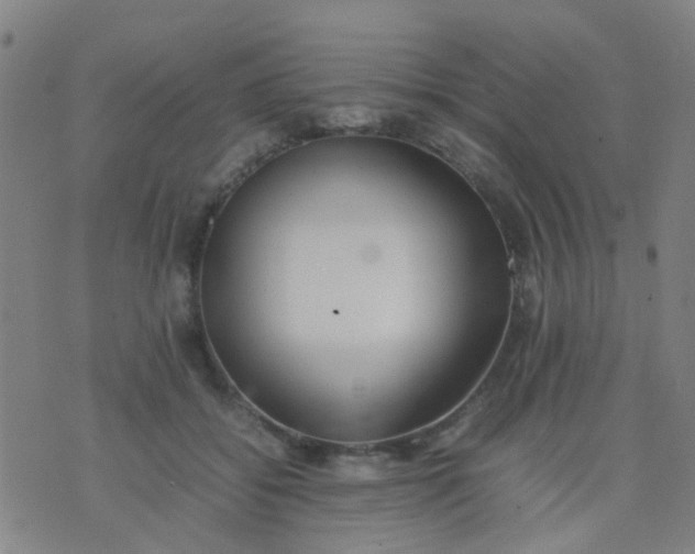 X0000074310556200609081945