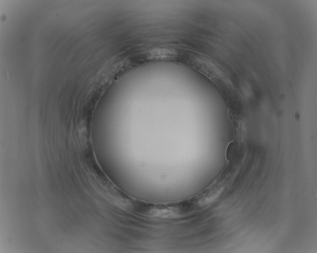 X0000074310557200609081945