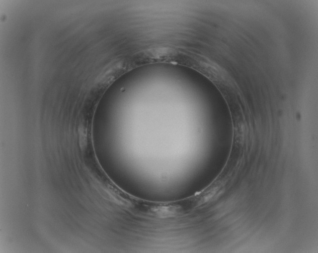 X0000074310558200609081945