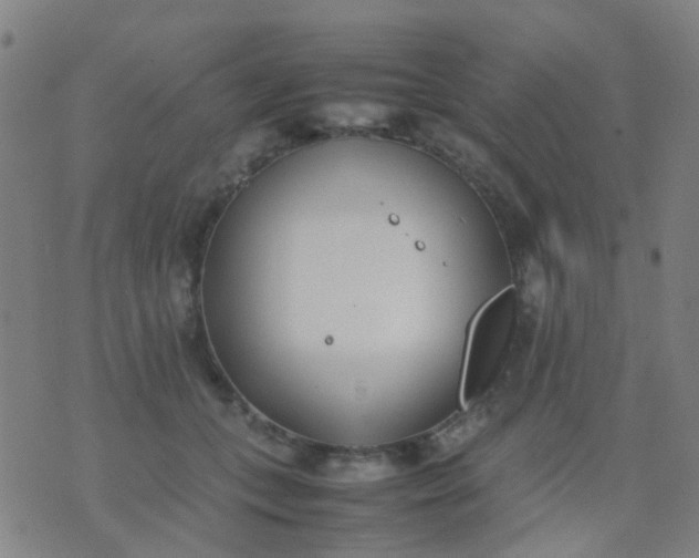 X0000074310559200609081945