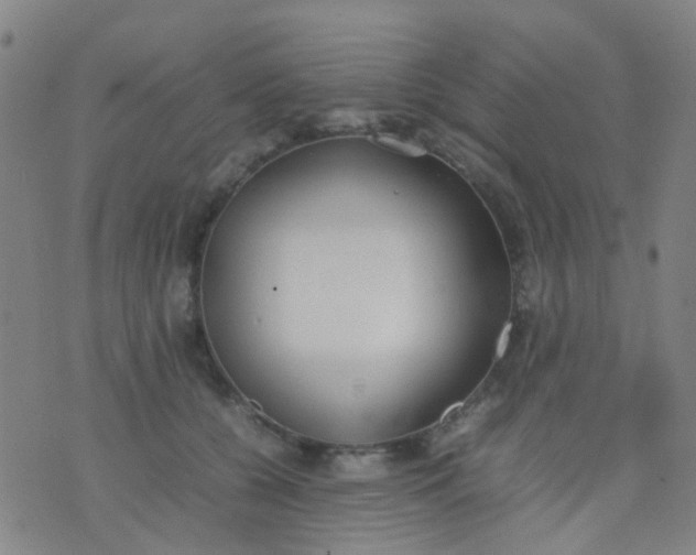 X0000074310560200609081945