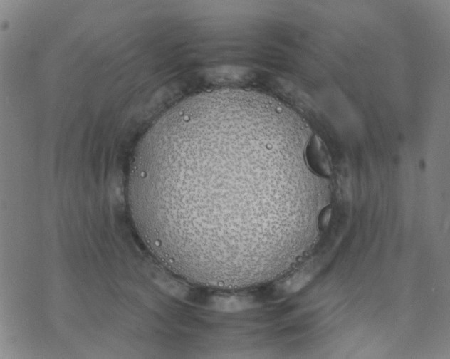 X0000074310561200609081945