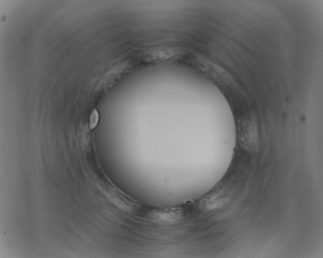 X0000074310563200609081945