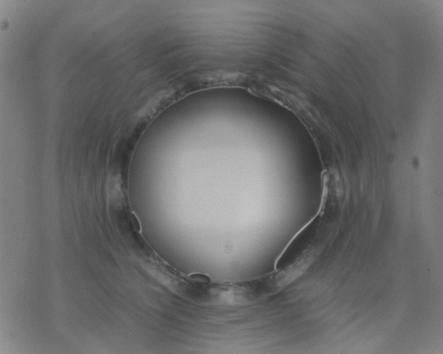 X0000074310564200609081945