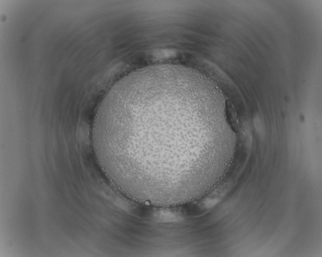 X0000074310565200609081945