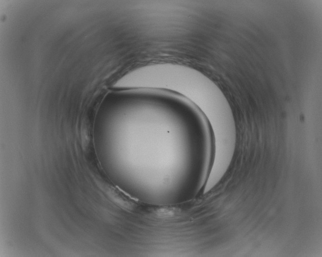 X0000074310566200609081945