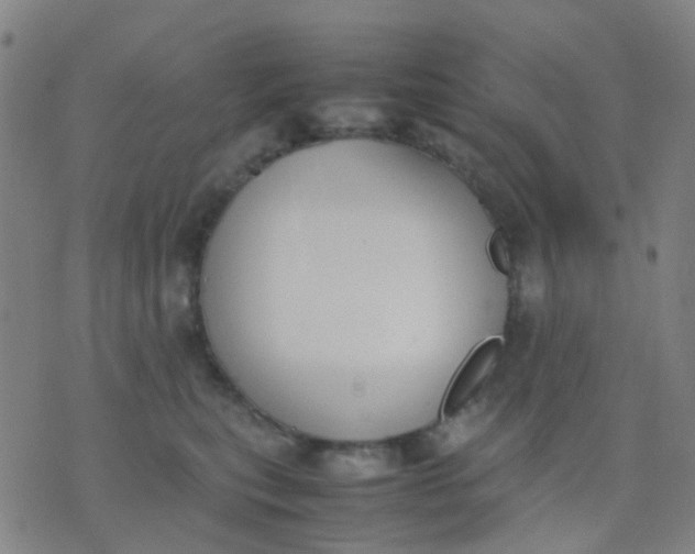 X0000074310567200609081945