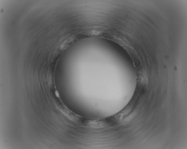 X0000074310568200609081945