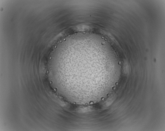 X0000074310569200609081945