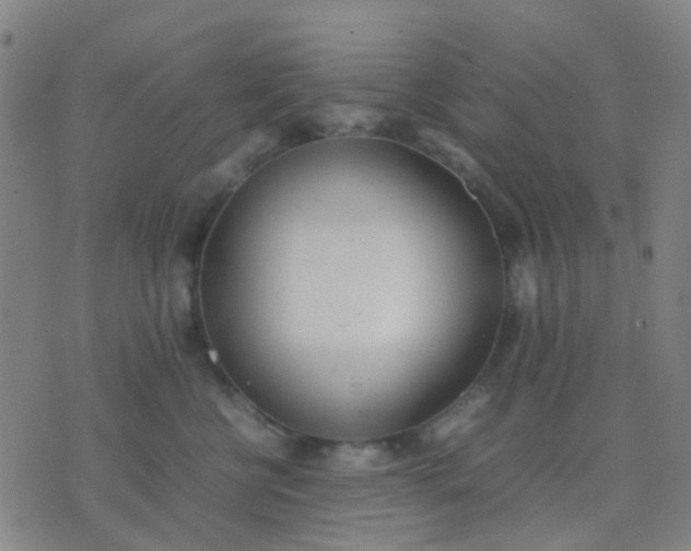 X0000074310570200609081945