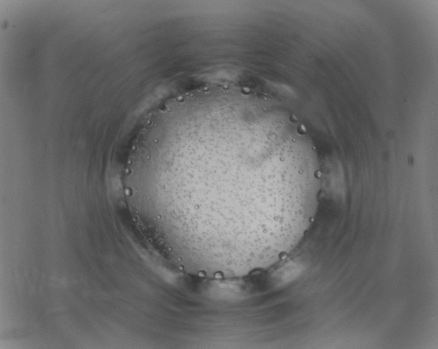 X0000074310573200609081945