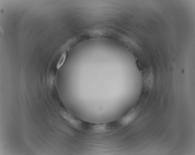 X0000074310574200609081945