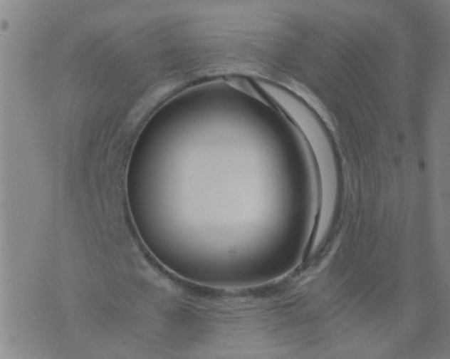 X0000074310577200609081944