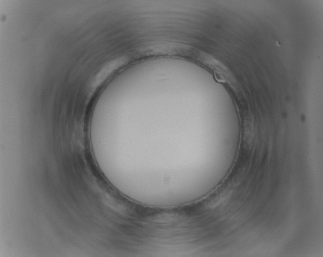 X0000074310578200609081944