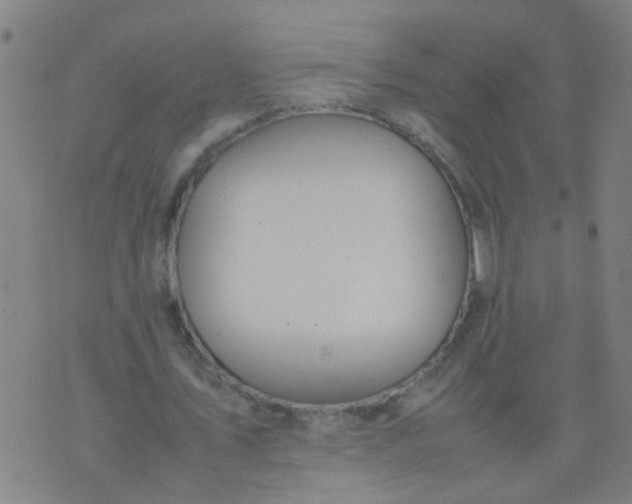 X0000074310579200609081944