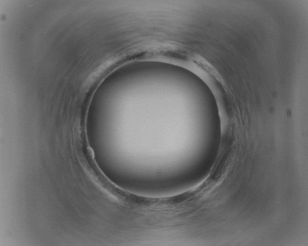 X0000074310581200609081944