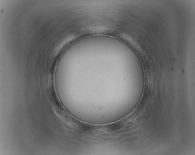 X0000074310583200609081944