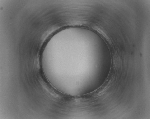 X0000074310584200609081944