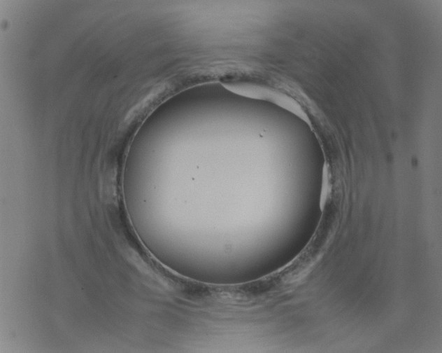 X0000074310585200609081944