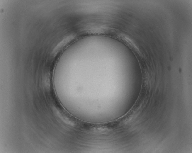 X0000074310586200609081944