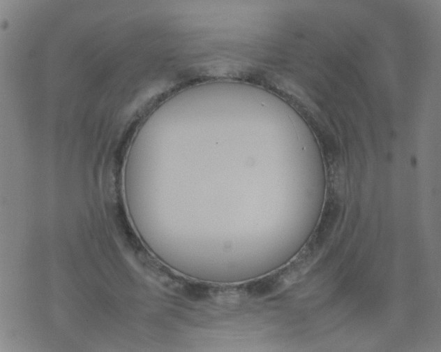 X0000074310587200609081944