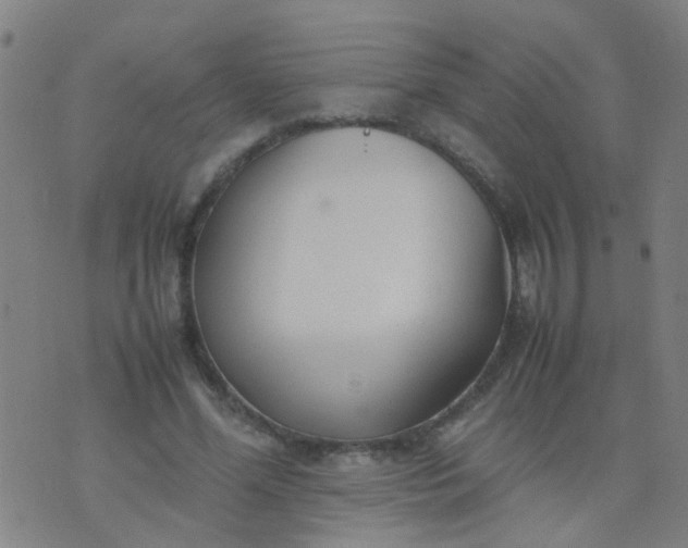 X0000074310588200609081944