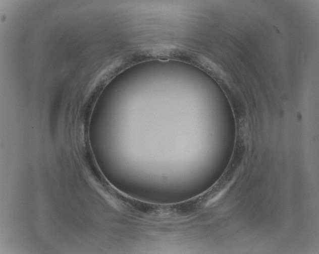 X0000074310589200609081944