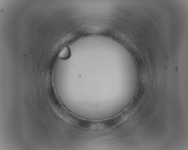 X0000074310591200609081944