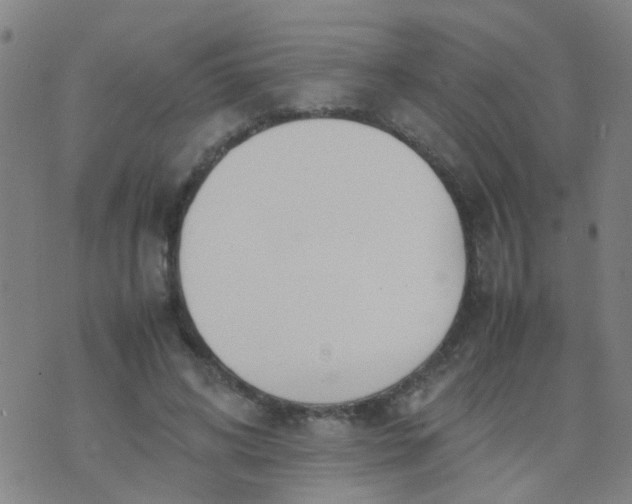 X0000074310592200609081944