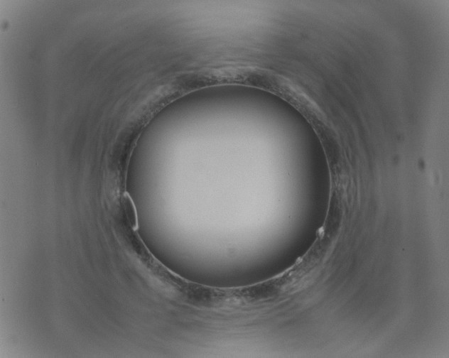 X0000074310593200609081944