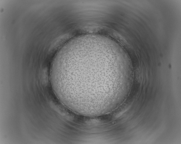 X0000074310594200609081944