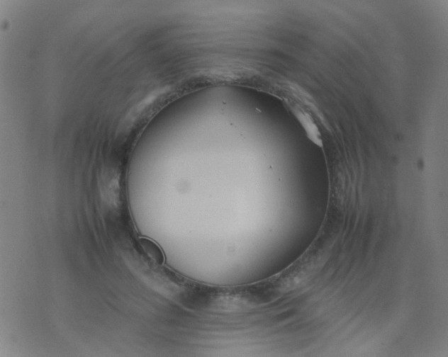 X0000074310596200609081944